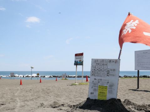 日本預警南海海槽巨震 專家：如發生恐成國難 | 地震 | 宮崎縣 | 岸田文雄 | 大紀元