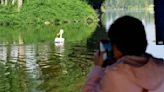 Así es un safari fotográfico por los canales de Tláhuac