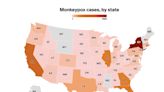 Map shows how quickly monkeypox spread through the US in the biggest-ever outbreak beyond Africa