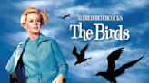 Alfred Hitchcock’s ‘The Birds’ turns 60 and is still one of the scariest movies ever made