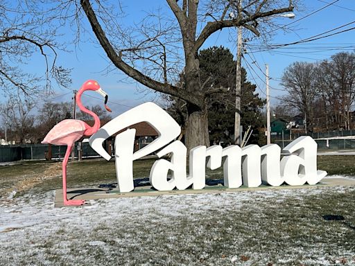 Pink with shame: Vandals charged with damaging Parma’s flamingo, police say