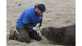 Learning about marine mammals highlights 10 events happening in Brunswick