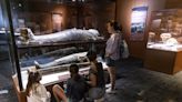 Los secretos de las momias del mundo al desnudo en una exposición en Miami
