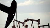OPEC+ nations extend oil supply cuts
