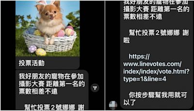 親友突請求幫忙投票！她秒挺「投2號娜娜」出事了