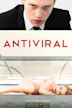 Antiviral