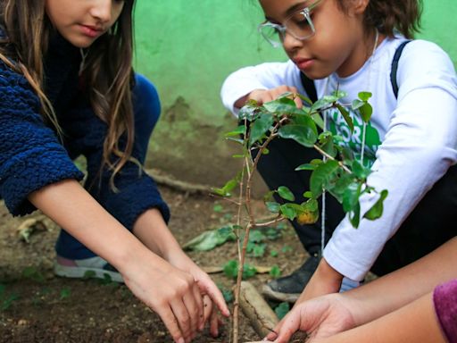 Alunos de escola do Rio plantam árvores e elaboram sugestões sobre o que querem para o futuro do planeta