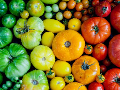 5 Types Of Tomatoes To Buy And 3 To Avoid For Maximum Flavor