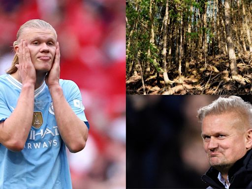 'Most Norwegian thing ever' - Man City star Erling Haaland hilariously reveals dad Alfie 'forced him to chop wood in the forest' to stay in shape ahead of pre-season | Goal.com Cameroon