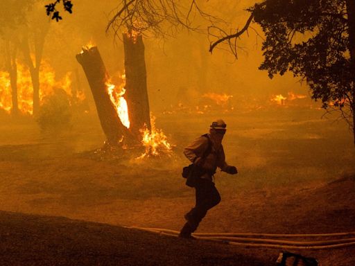 California Reports First Wildfire Death of the 2024 Season