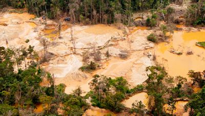 Opacidad estatal niega soluciones a la crisis ambiental, aseguran ONG