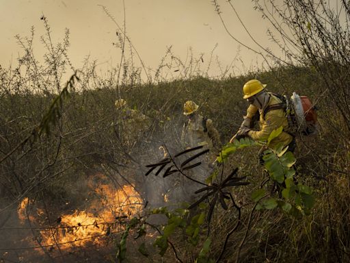 Marina Silva diz que foram identificados locais em que começaram incêndios no pantanal