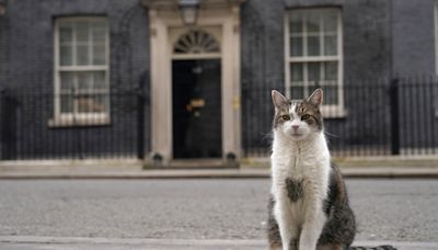 Larry the Downing Street cat in line for his sixth prime minister