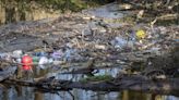 OEP watchdog criticises government's water clean-up plans for England