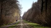 Paris-Roubaix cobbles pass organisers' inspection, dry weather expected