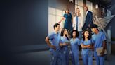 Grey's Anatomy sofre nova baixa no elenco de sua 21ª temporada