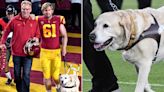 Blind Former USC Player Jake Olson Mourns Death of 'Beloved Guide Dog': 'A Bond Was Broken Today'