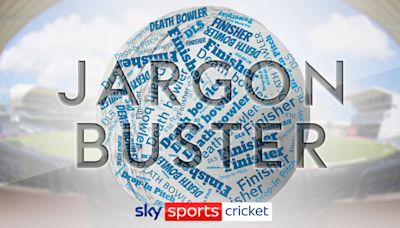 T20 World Cup jargon buster: Learn about powerplays, finishers, drop-in pitches, DLS, DRS and more