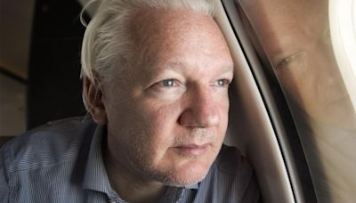 Julian Assange, the Chevron Doctrine, and the Case against Pessimism