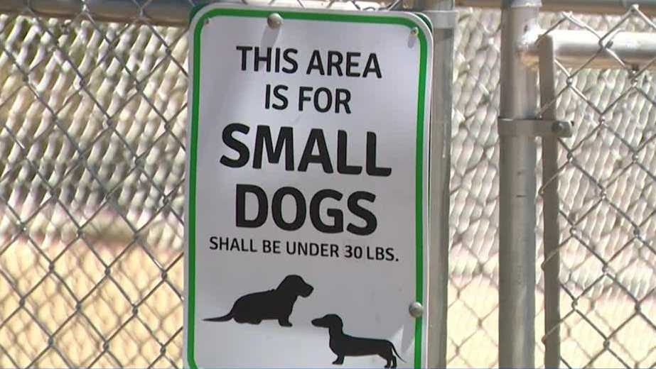 Dog park set to open in El Dorado County