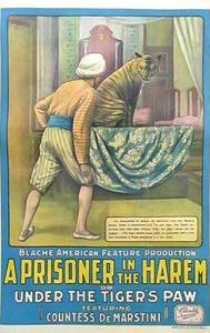 A Prisoner in the Harem