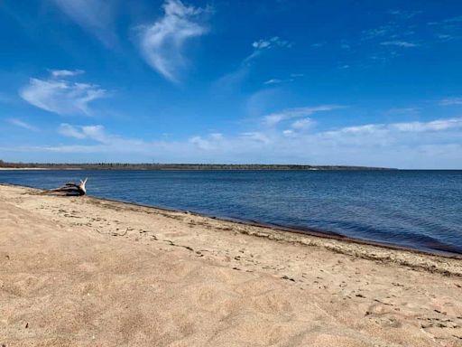 High E. coli levels force closure of Lake Winnipeg beach