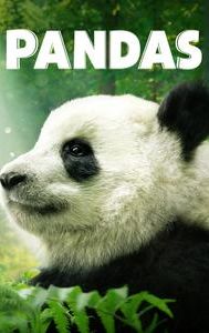 Pandas