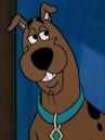 Scooby in Kwackyland