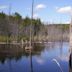 Mono Cliffs Provincial Park