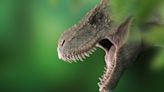 ‘Jurassic Park’ se equivocó, el Tiranosaurio Rex sí tenía labios
