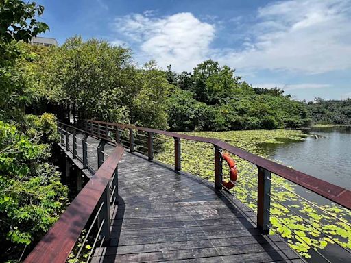 漫步都會生態系，走進高雄「鳥松濕地公園」感受綠意，聽蟲鳴鳥叫與自然共處 - 高雄畫刊 - 微笑台灣 - 用深度旅遊體驗鄉鎮魅力