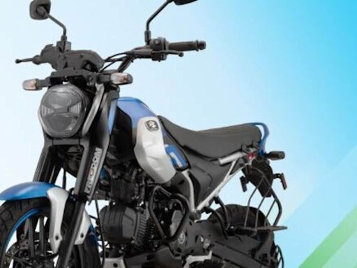 Bajaj Freedom, world's 1st CNG bike, launched in India: Price, feature, mileage