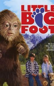 Little Bigfoot (film)
