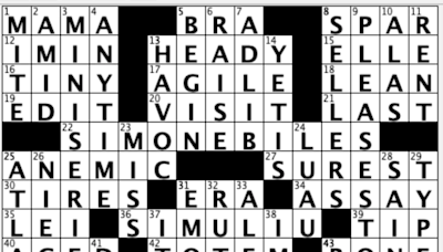 Off the Grid: Sally breaks down USA TODAY's daily crossword puzzle, The Sims