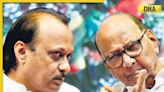 Maharashtra political crisis: Ajit Pawar's NCP faces major setback, top leaders resign to join Sharad Pawar