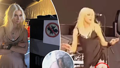‘Gossip Girl’ star Taylor Momsen gets bitten by a bat during concert, needs rabies shots