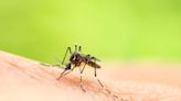 State of Indiana reports year's 1st case of West Nile virus