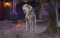 Skelly, Home Depot s 12-foot skeleton, gets a dog — and he’s a very good boy