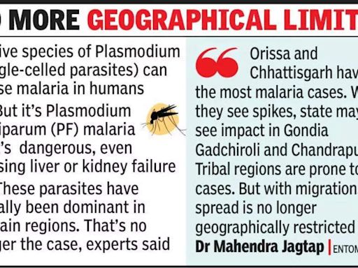 Emerging Malaria Threat: Plasmodium falciparum Cases Surge in Maharashtra | Pune News - Times of India