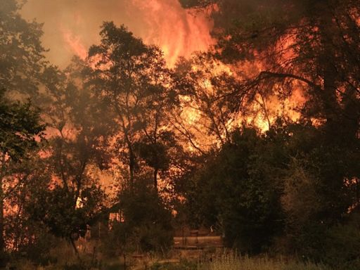 Wildfire fanned by gales menaces Athens suburbs as residents flee