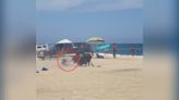 En video: Un toro fuera de control irrumpe en una playa y embiste a una turista
