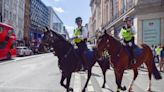 Tres caballos del Ejército británico se escapan y vuelven a sembrar el caos en las calles de Londres