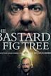 The Bastards' Fig Tree