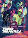 Todd Tarantula