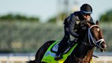 Todd Pletcher seeking clarity on Forte's status for Preakness after Kentucky Derby scratch