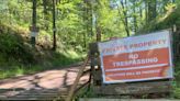 New era at Shellburg Falls: Tweaked hikes, changed trailhead, burned but beautiful forest