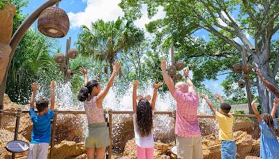 How to plan your Florida summer vacation with theme parks, cruises and attractions