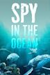 Spy in the Ocean