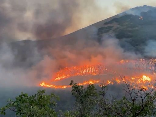 Salt Lake City homes evacuated as firefighters battle wildfire