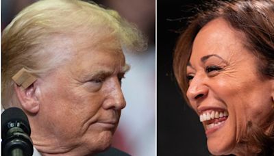 'Jealousy': Mary Trump says her uncle hates that he 'cant buy what Kamala has'